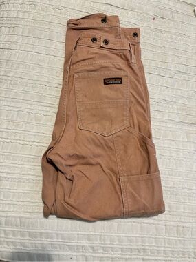 Patagonia Men's Cargo Pants in Rust Tan